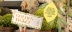 NL Home Banner Desk Golden Ticket