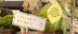 ENG Home Banner Desk Golden Ticket