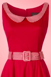 Collectif Clothing - Kitty Gingham swingjurk in donkerrood 5