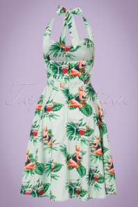 Collectif Clothing - 50s Lori Tropical Pin-Up Girl Swing Dress in Mint 6