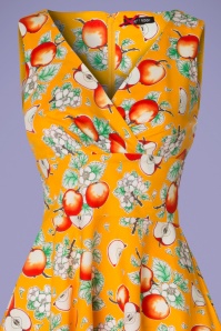 Bunny - Somerset Apples Swing Dress Années 50 en Orange 3