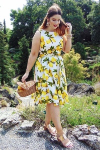 Lindy Bop - 50s Audrey Lemon Swing Dress in White and Yellow 9