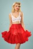 Bunny Red Petticoat  124 20 16864  20150915 02W