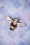Foxy Bee Brooch 340 80 26429 0625201801 01W
