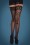 Rouge Royale Sheer Stay Up Lace Top Thigh Highs with Faux Lace 179 10 27217 24082018 01a