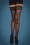 Rouge Royale - Dita Lace Top Hold Ups in Black