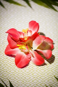 Miss Candyfloss - Robe corolle Bronge Rose en rouge fleuri