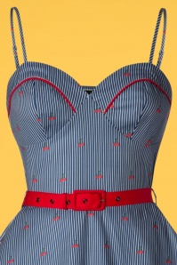 Vixen - Shelley Cherry and Stripes Ausgestelltes Kleid in Blau 3