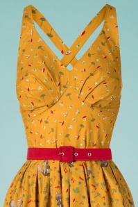 Miss Candyfloss - 50s Augusta Squirrels Swing Dress in Mustard 3
