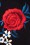 Hearts & Roses - Sylvia Floral Wiggle-jurk in zwart 3