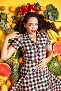 Collectif Clothing - 50s Caterina Watermelon Swing Dress in Black and White