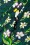 Collectif Clothing - 50s Mahina Tropical Bird Playsuit in Green 3