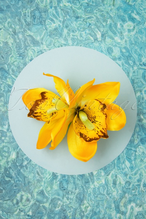 Lady Luck's Boutique - Dubbele Orchid mooie haarclip in geel