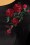 Hearts & Roses - Highland Roses Swing Dress Années 50 en Noir 6