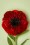 Erstwilder - TopVintage Exclusief ~ Poppy Field Broche 3