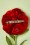 Erstwilder - TopVintage Exclusief ~ Poppy Field Broche 4