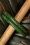Splendette - TopVintage Exclusive ~ Fern Narrow Carved Bangle Set Années 40 en Vert