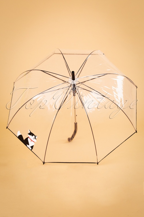 So Rainy - 50s Cat Dome Umbrella 4