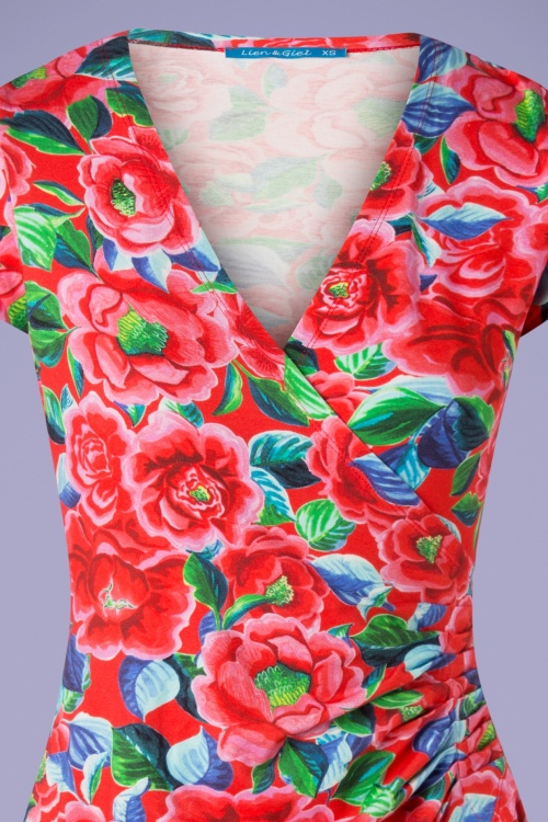 Lien & Giel - Buenos Aires Roses Dress Années 60 en Rouge 4