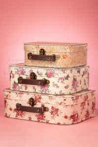 Sass & Belle - 50s Vintage Rose Suitcase Set 3