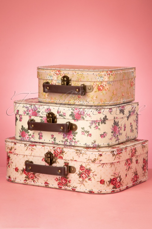 Sass & Belle - Vintage Rose Suitcase Set Années 50 3
