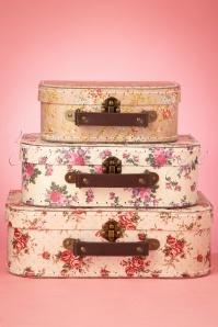 Sass & Belle - Vintage Rose Suitcase Set Années 50