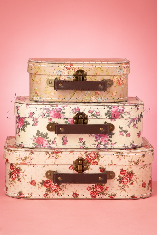 Sass & Belle - Vintage Rose Suitcase Set Années 50