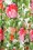 Hearts & Roses - Francine swing rok met bloemenprint in groen en roze 4