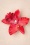 Topvintage Boutique Collection 37282 Red Flower Topvbc Hairflower Lilly Lelie 19012021 0010 W
