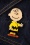 Erstwilder - Charlie Brown Brooch