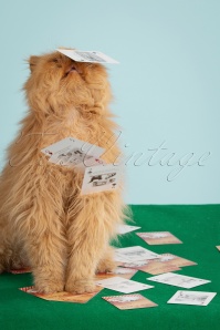 New York Puzzle Company - Cat Cartoon Playing Cards