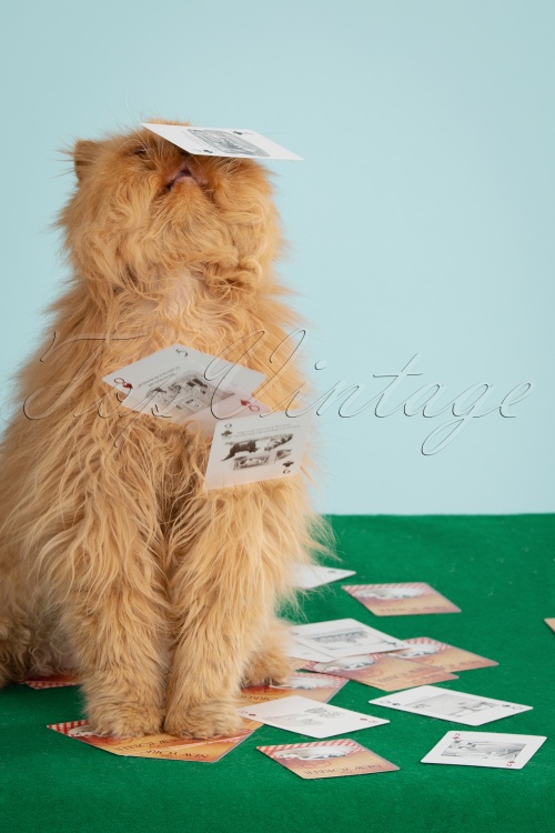 New York Puzzle Company - Cat Cartoon Playing Cards