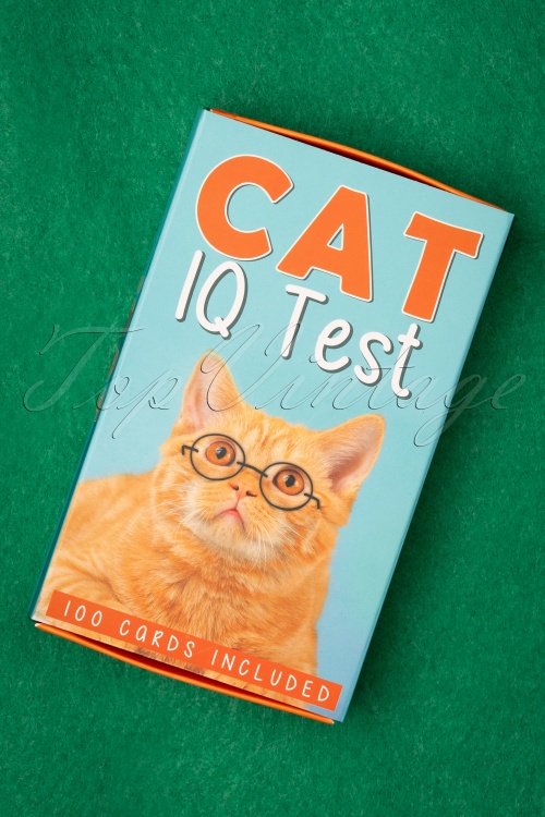 Gift Republic - Cat IQ Test!