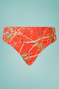 TC Beach - Flipover Bikini Brief Années 50 en Tangerine Jardin des Fleurs 2