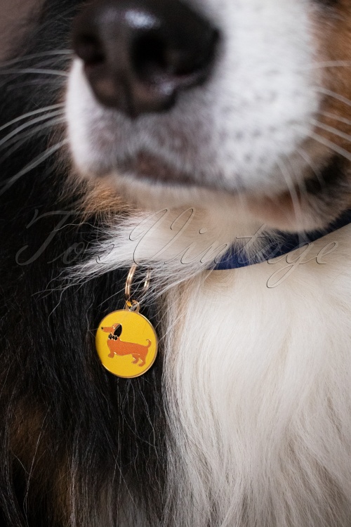 Erstwilder - Médaille pour Animaux Spiffy le Chien Saucisse