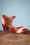 Miz Mooz Zapatos Mary Jane Frenchy de los años 50 en rojo