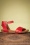 Miz Mooz 70s Avon Sandals in Scarlet Red