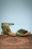 Miz Mooz 70s Avon Sandals in Kiwi Green