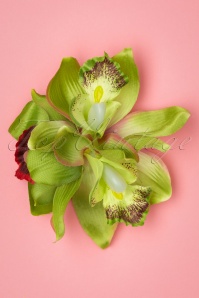 Collectif Clothing - Aaliyah Orchid Hairflower Années 50 en Vert 2