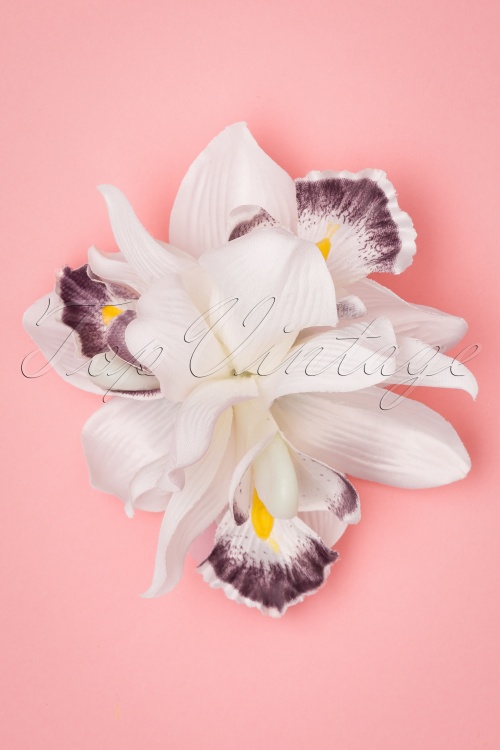 Collectif Clothing - Aaliyah Orchid Hairflower Années 50 en Blanc 2