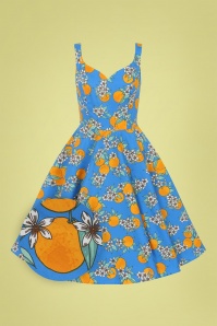 Bunny - 50s Valencia Oranges Swing Dress in Blue