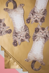 Mustard - Hanging Cat Notes 3