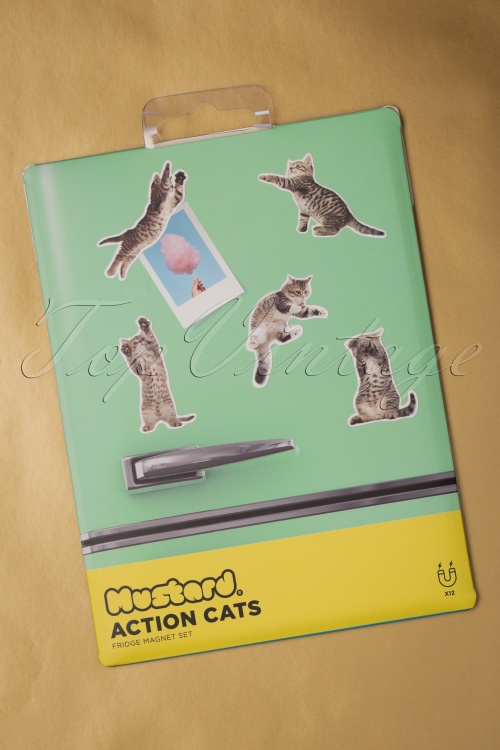 Mustard - Action Cats Magnets