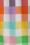 Collectif 42661 Waverly Rainbow Gingham Swing Dress Multi 20220419 023L
