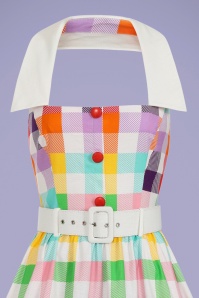 Collectif Clothing - Waverly Rainbow Gingham Swing Kleid in Multi 2