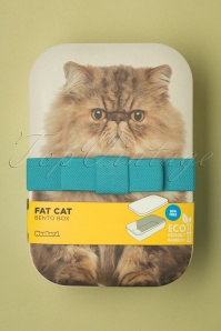 Mustard - Fat Cat Bento Lunch Box