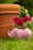 Rice 43815 Small Metal Rhino Flower Pot Pink 220621 602 W