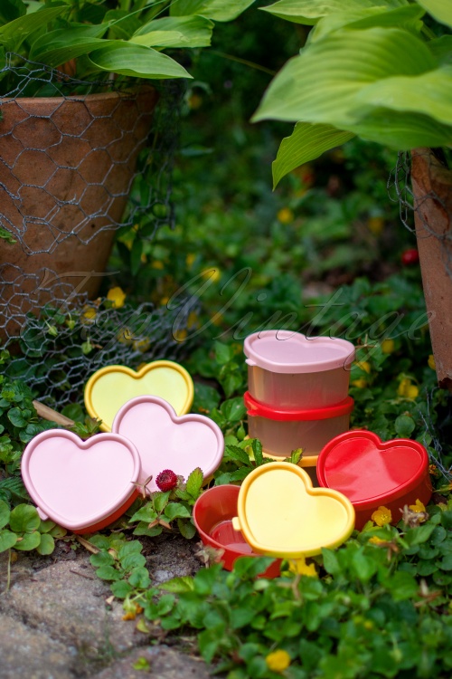 Rice - Plastic Heart Shaped Food Keepers in multi