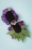 Collectif 43989 Purple Hair Flower 20220811 606 W