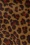 Collectif 44334 Irma Leopard Print Leo 06272022 602